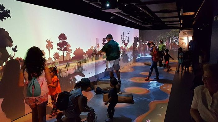 Digital,_interactive_'River_of_Grass'_exhibit_at_Frost_Museum_of_Science_in_Miami