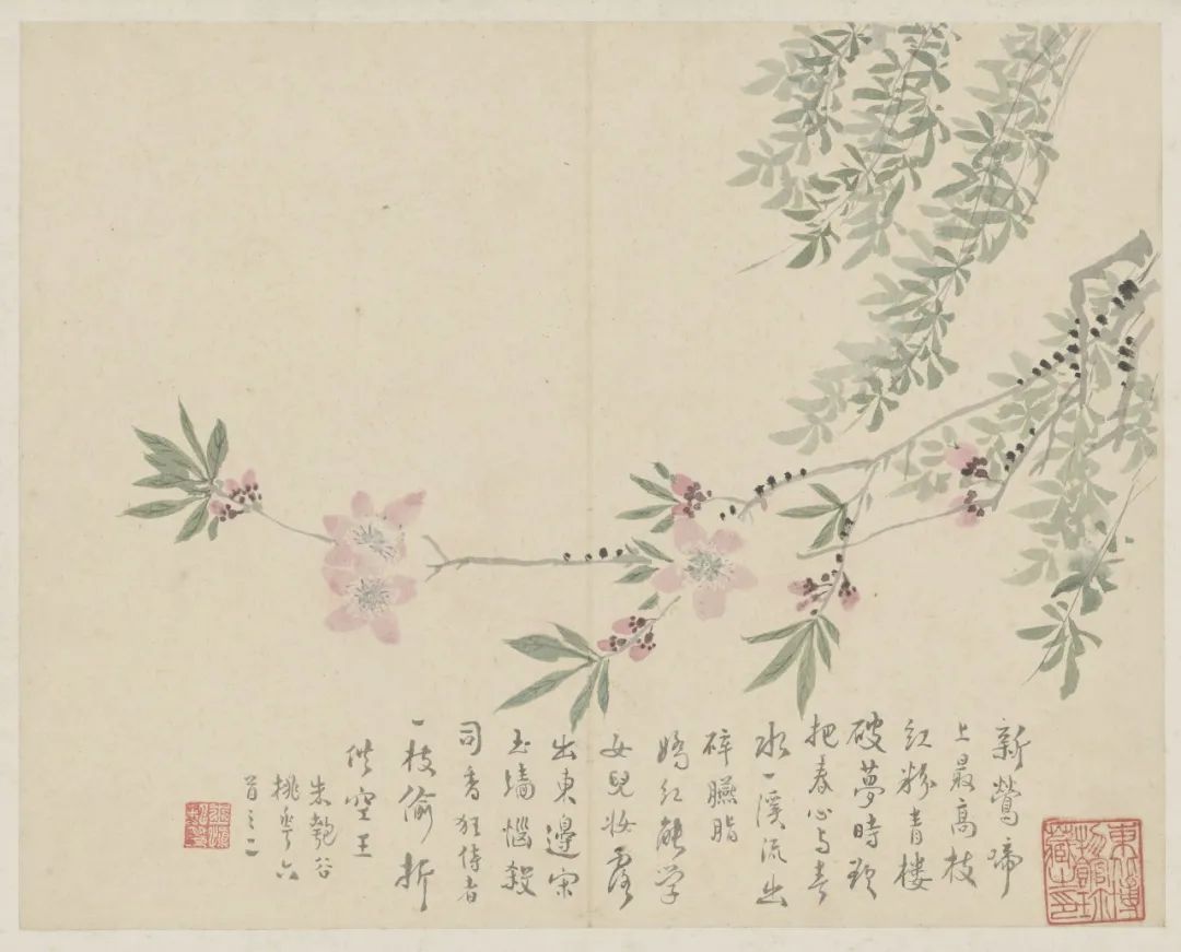 汪士慎  花卉图册  辽宁省博物馆藏 （此展品第一期展出）