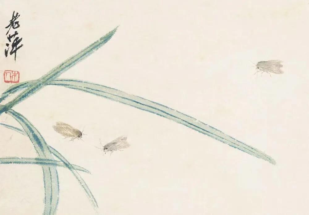 齐白石   草虫册页之三：三蛾图    北京画院藏